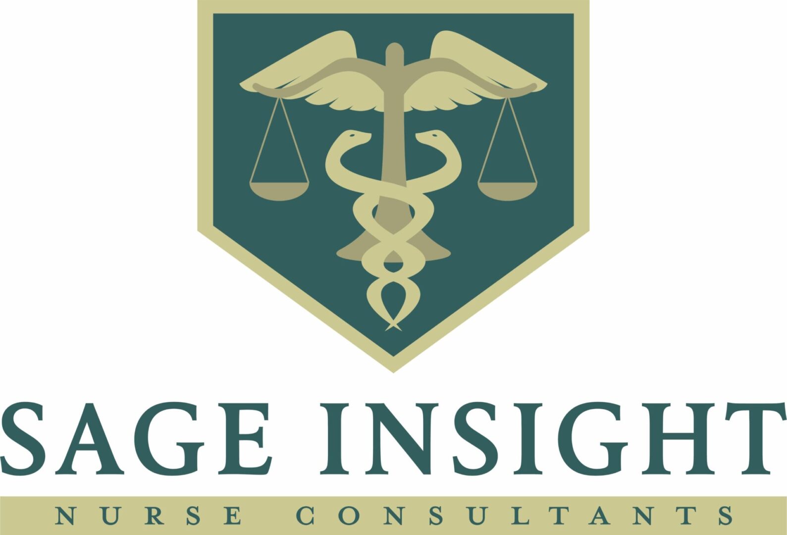 A logo of the judge insight course consultants.